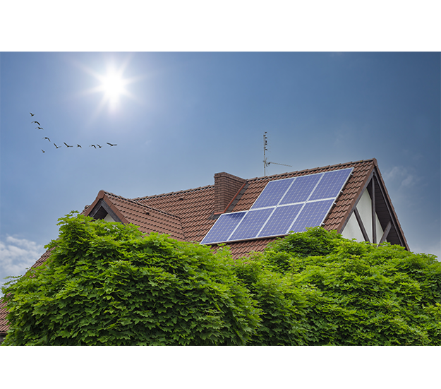 Experts in green energy compliance