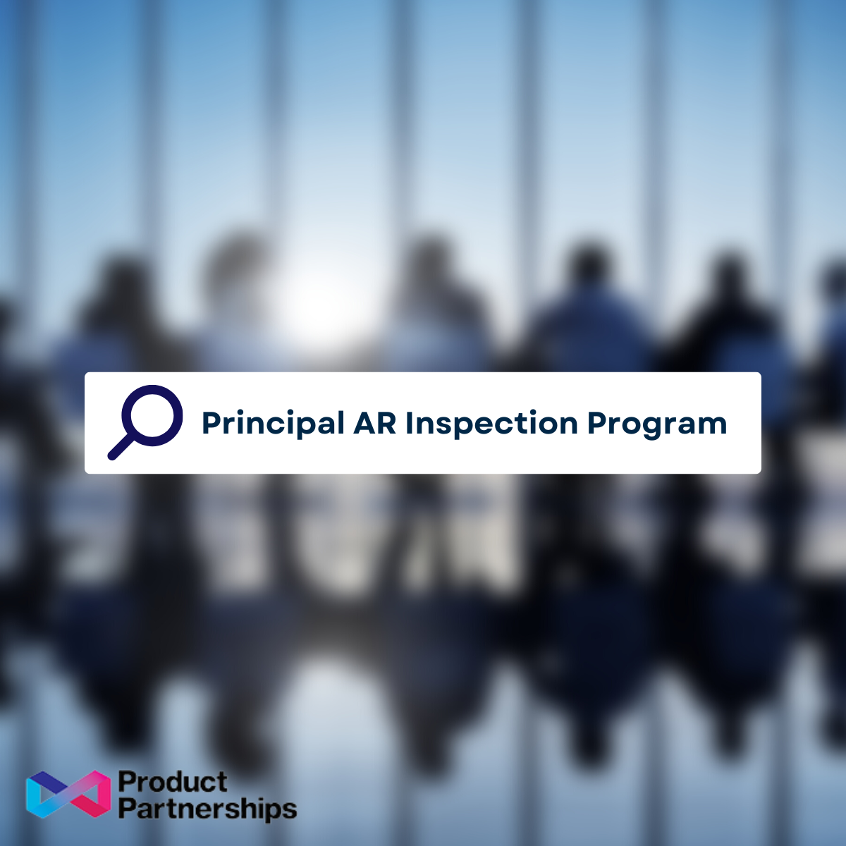 Our new Principal AR Inspection Program